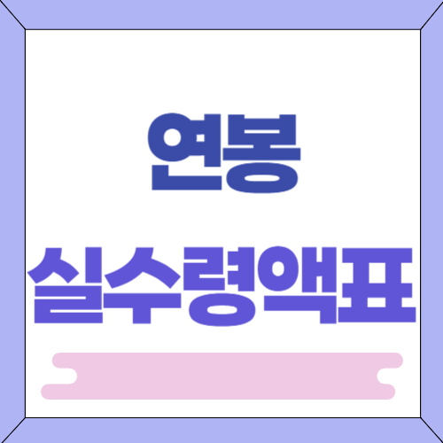 2024년 연봉 실수령액 표 | 연봉 월급 계산기